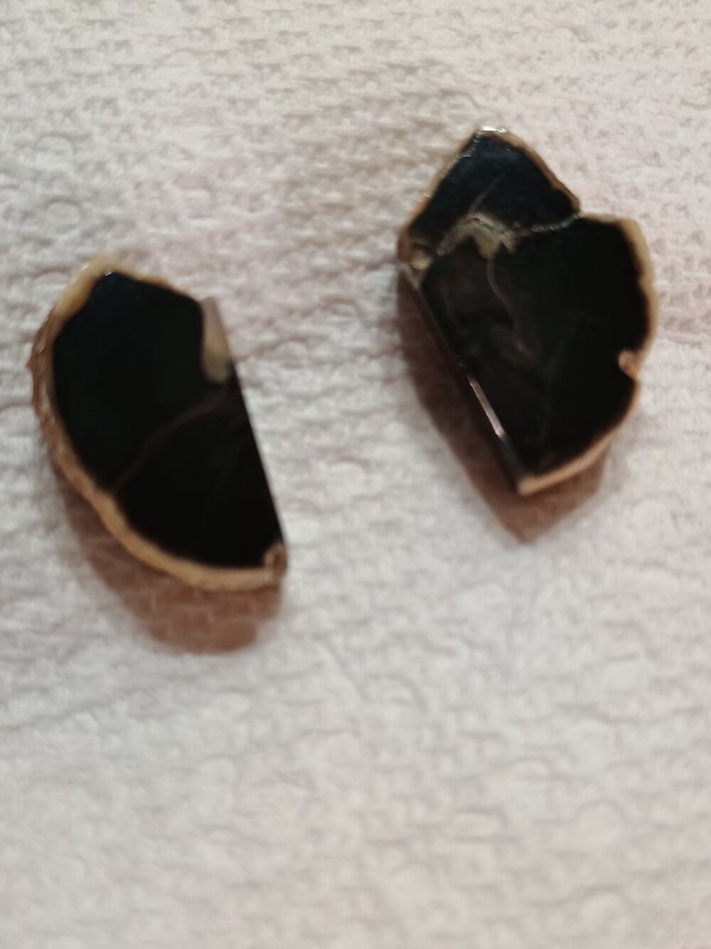 Vintage Petrified Wood Cufflinks Polished Black Stone Gold Tone Men's Jewelry